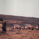 Illustration for article titled Leave it to the French to drive Citroën 2CV-based jeeps across the Sahara